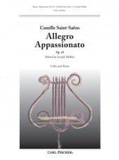 Allegro Appassionato, Op.43